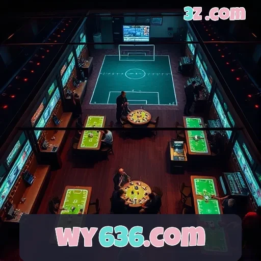 wy636.com Termos